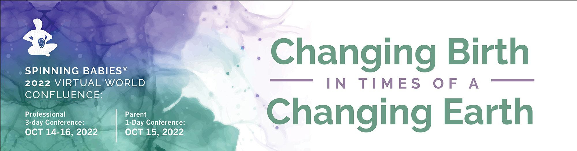 Spinning Babies 2022 Virtual Conference